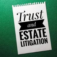 _Litigation _Litigation